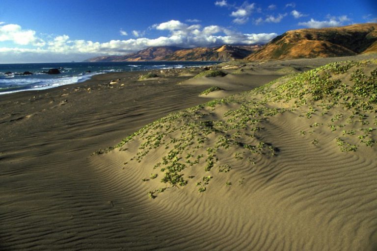 Lost Coast Wilderness The Conservation Alliance 