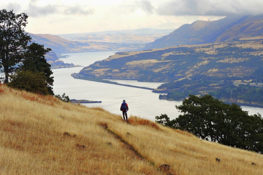 Wonders of the Columbia Gorge  Friends of the Columbia Gorge