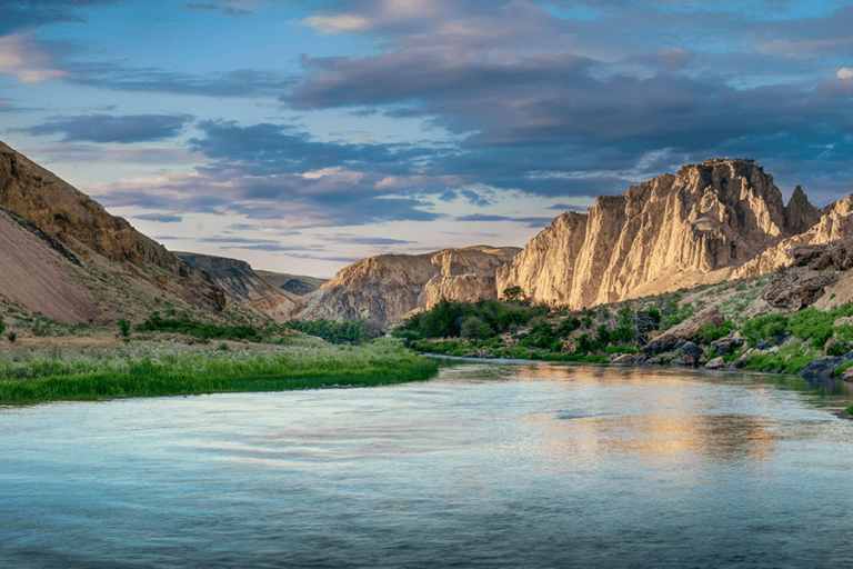 Save the Swamp Cedars The Conservation Alliance