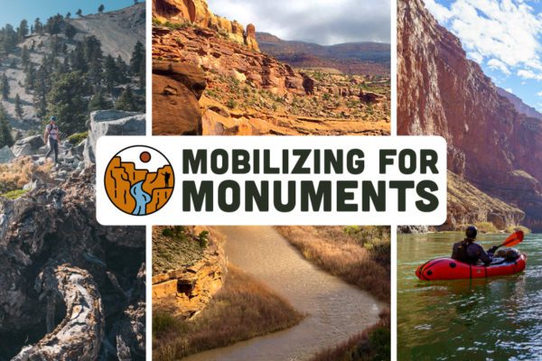 Mobilizing for Monuments