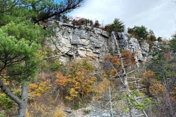 Gunks Climbers' Coalition