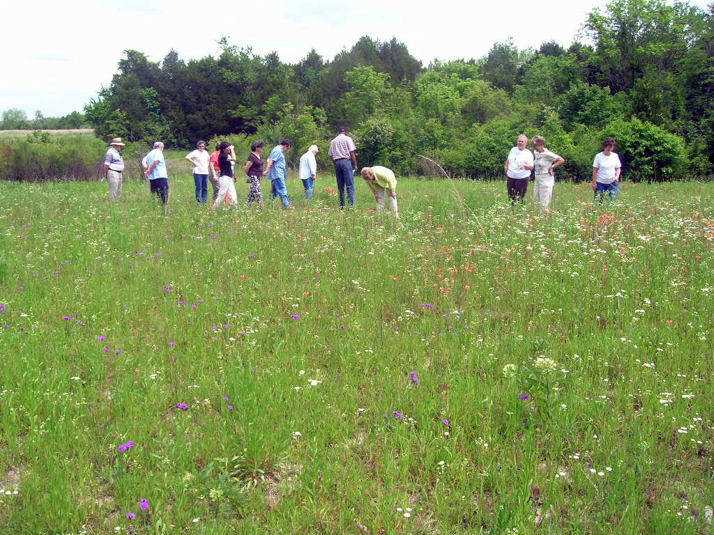 Community Searching for Native Species in West Alabama