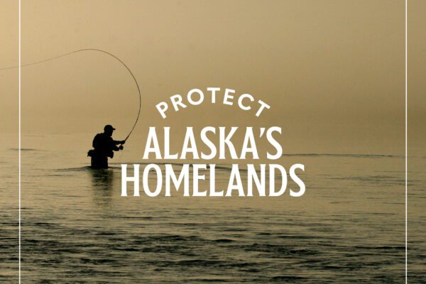Protect AK Homelands