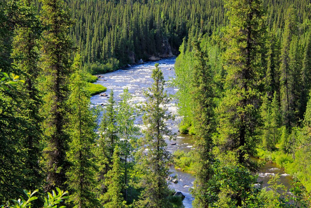 Gulkana Wild and Scenic River in Alaska