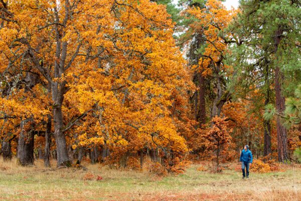 Columbia Land Trust