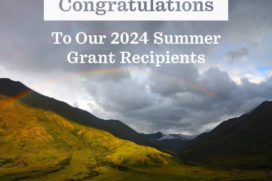 TCA 2024 Summer Grantees