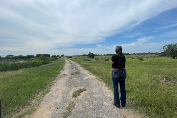 Texas Tribal Buffalo Initiative