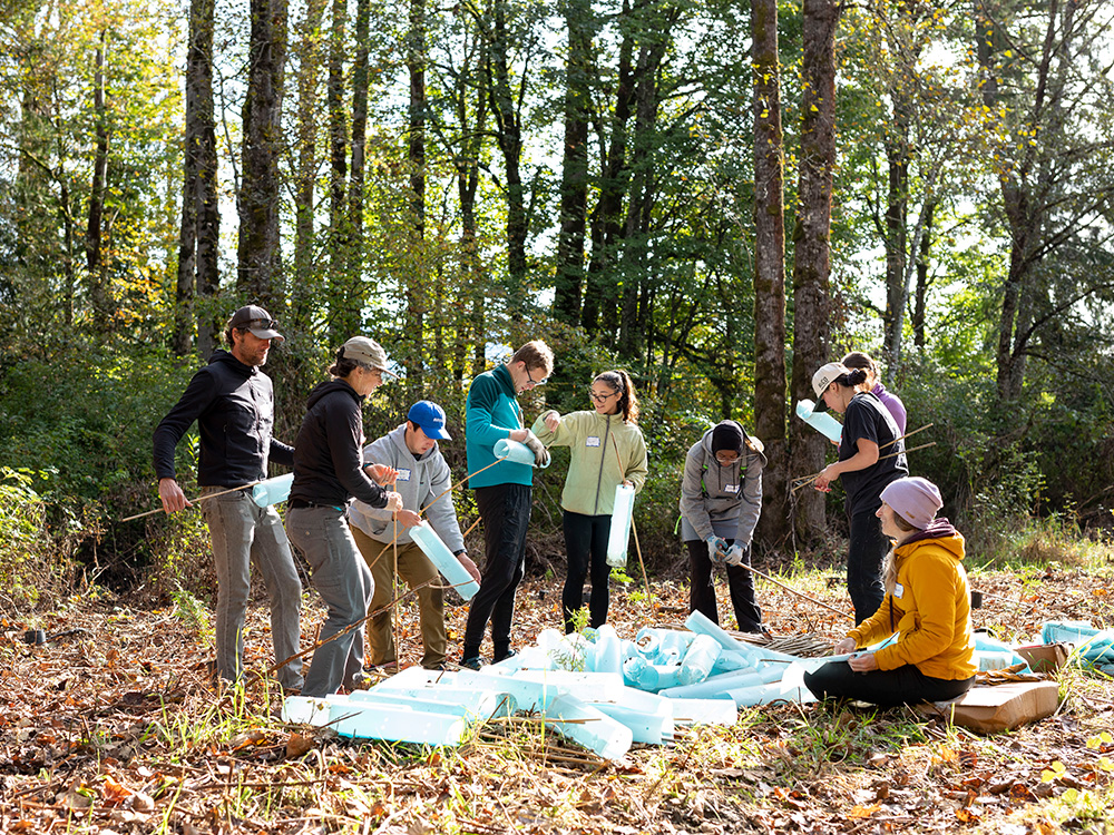 Backyard Collective event participants remove invasive species along the South Fork Nooksack River