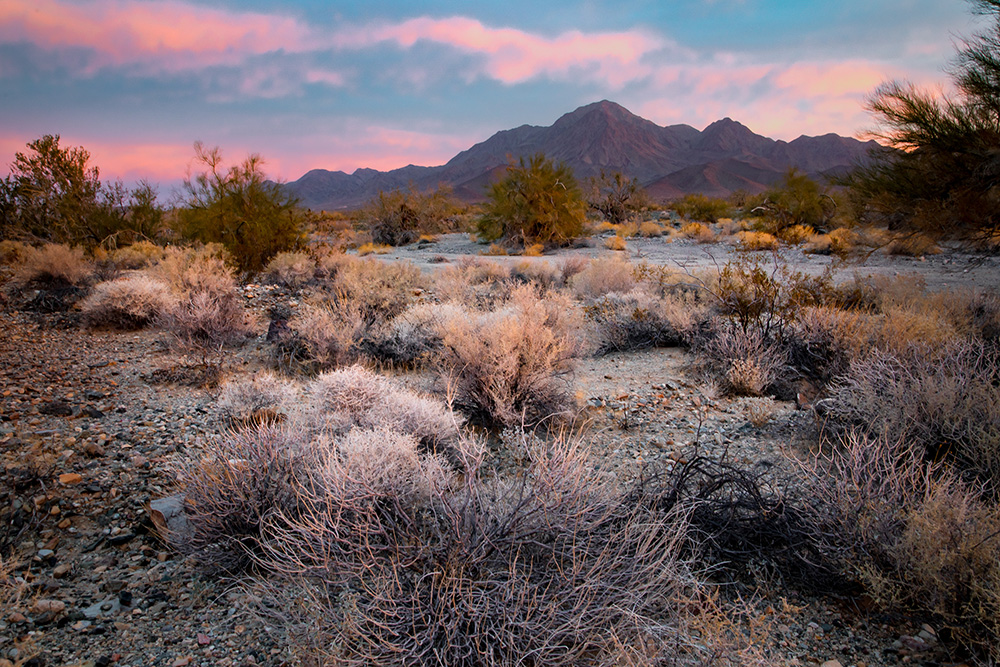 Chuckwalla National Monument by Bob Wick