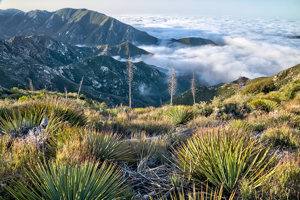 San Gabriel Mountains National Monument