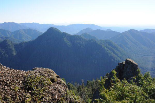 Wild O Wilderness