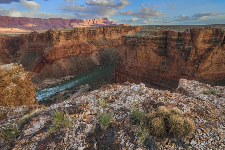 Grand Canyon Trust