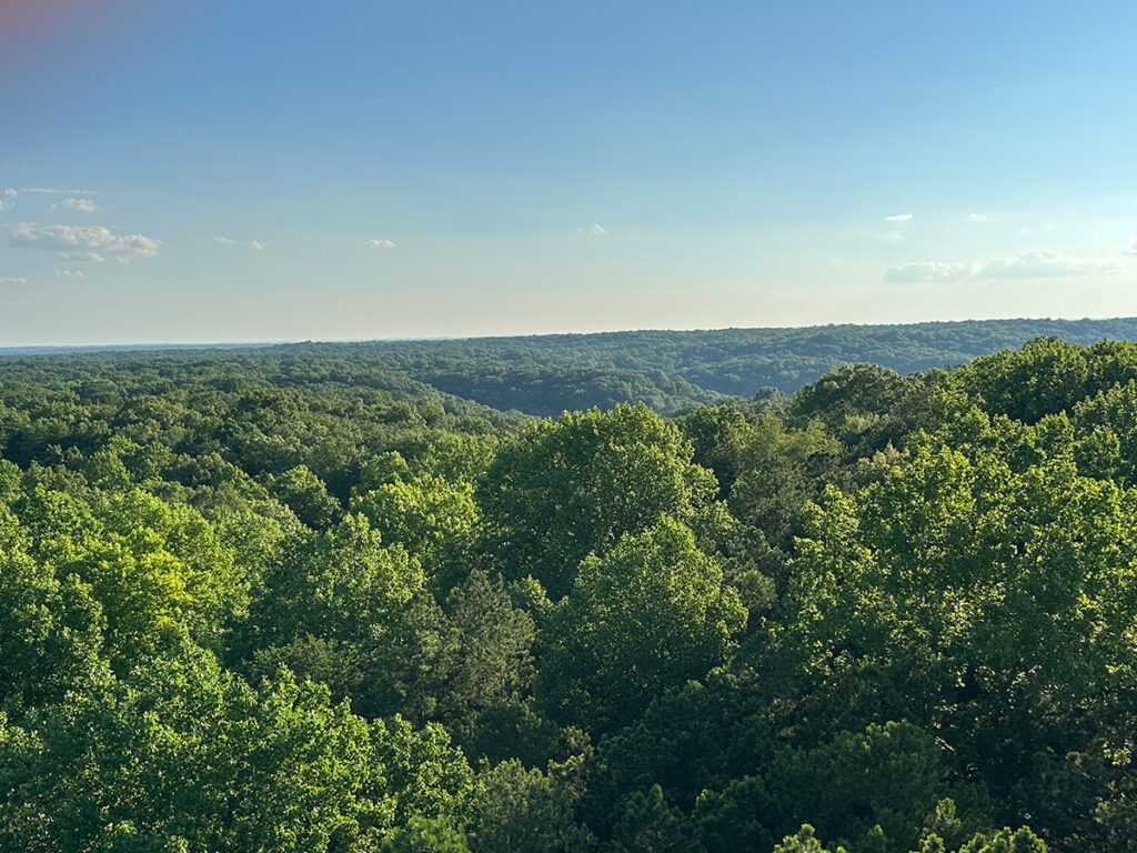 Indiana Forest Alliance