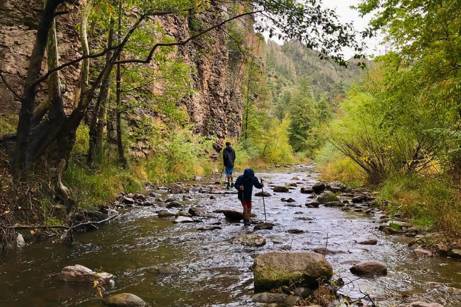 New Mexico Wild