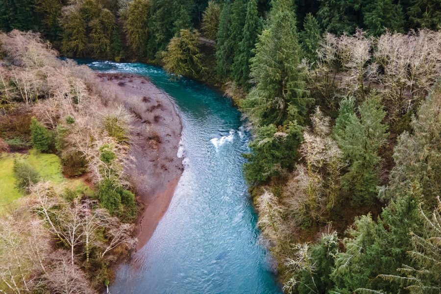 Wild Salmon Center