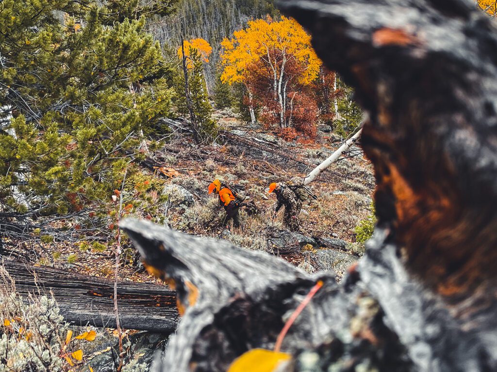 Wyoming Wildlife Federation