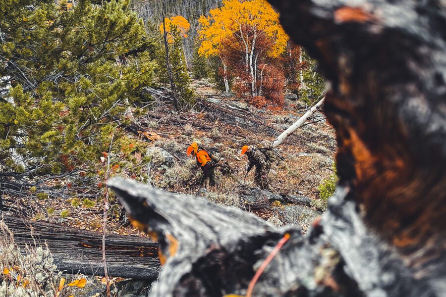 Wyoming Wildlife Federation