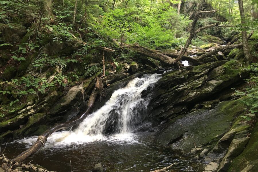 Roaring Branch Cascades