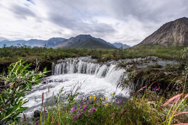Arctic National Wildlife Refuge