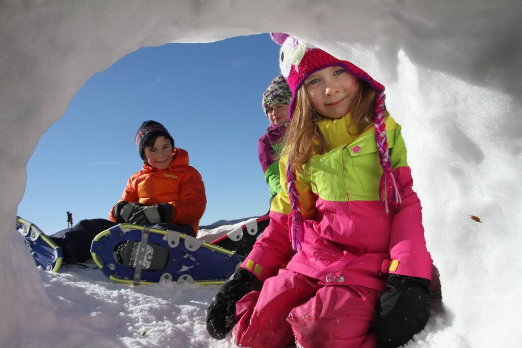 Cold Hollow Mountains