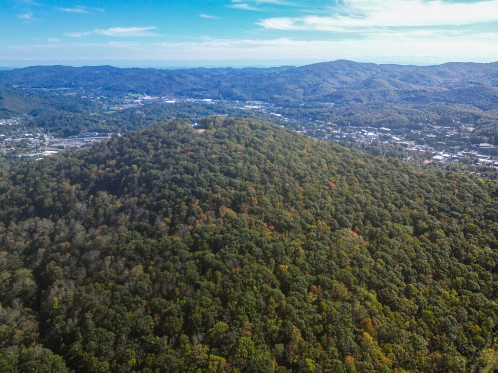 Blue Ridge Conservancy