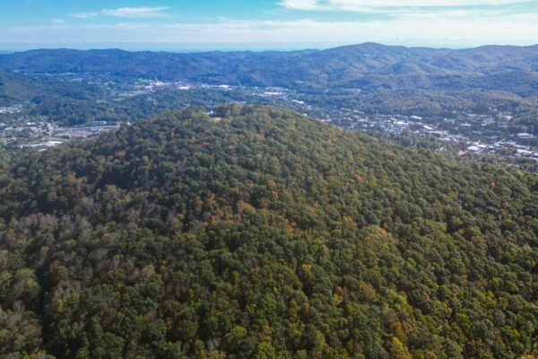 Blue Ridge Conservancy