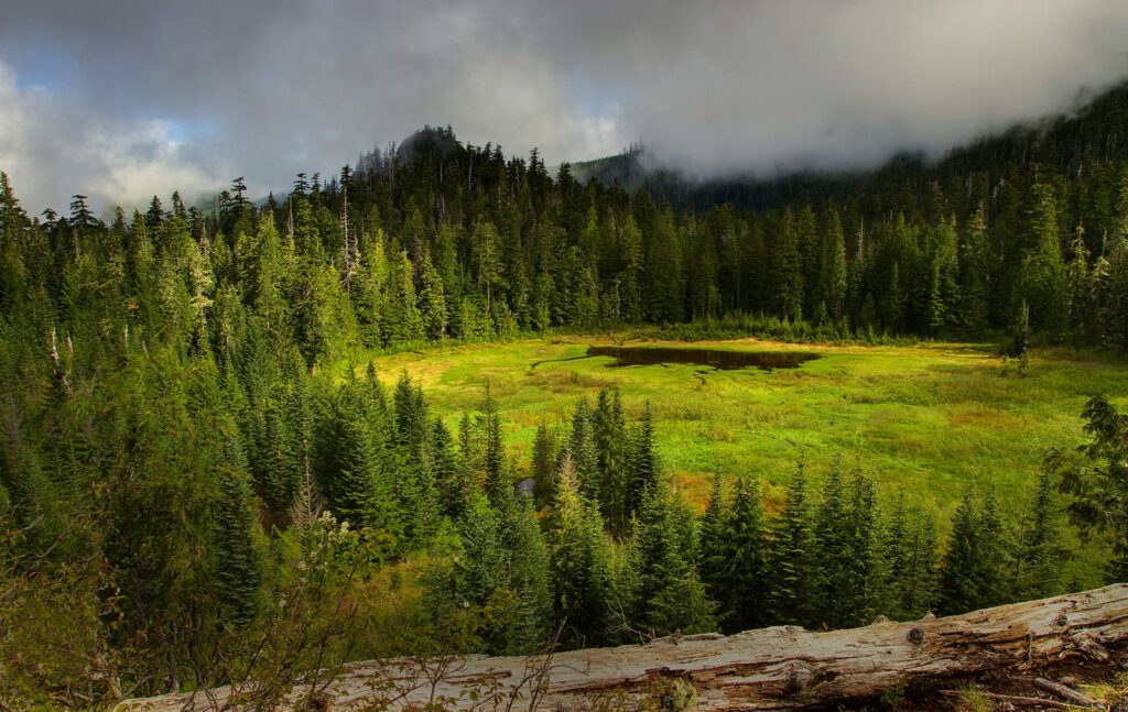 Crabtree Valley