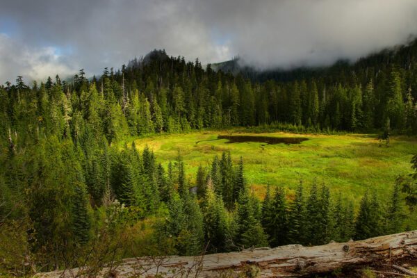 Crabtree Valley