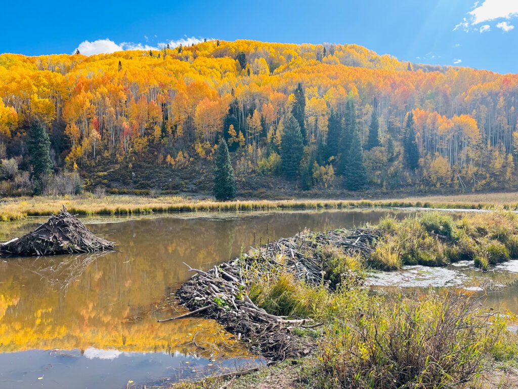 Horse Ranch Park