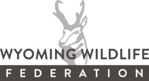 WWF