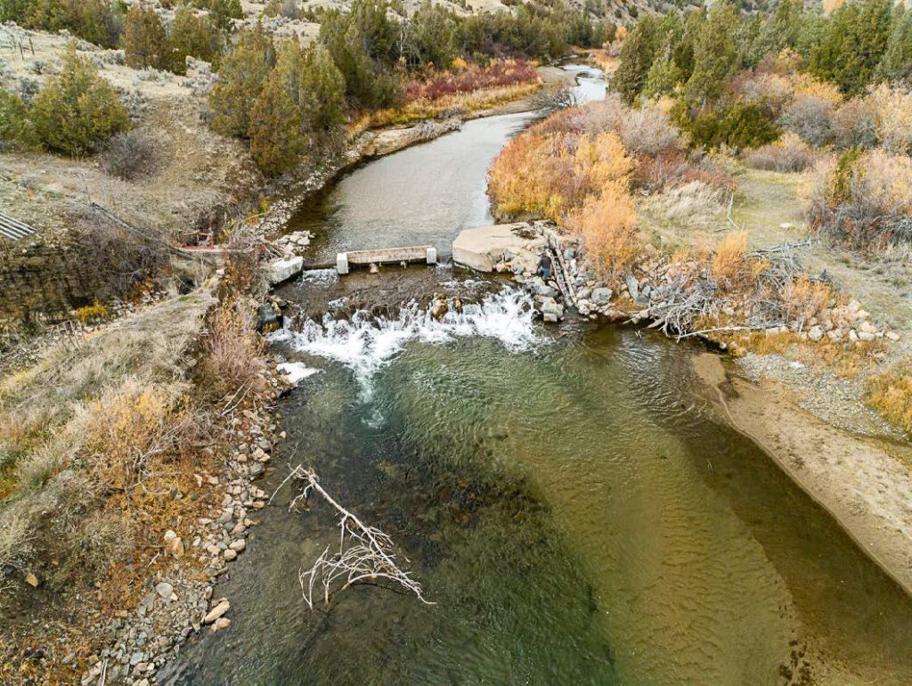 Montana Trout Unlimited