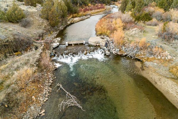 Montana Trout Unlimited