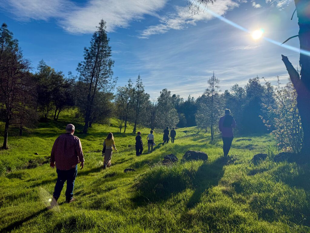 Native Roots Network
