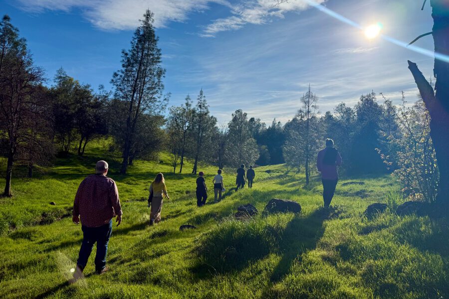 Native Roots Network