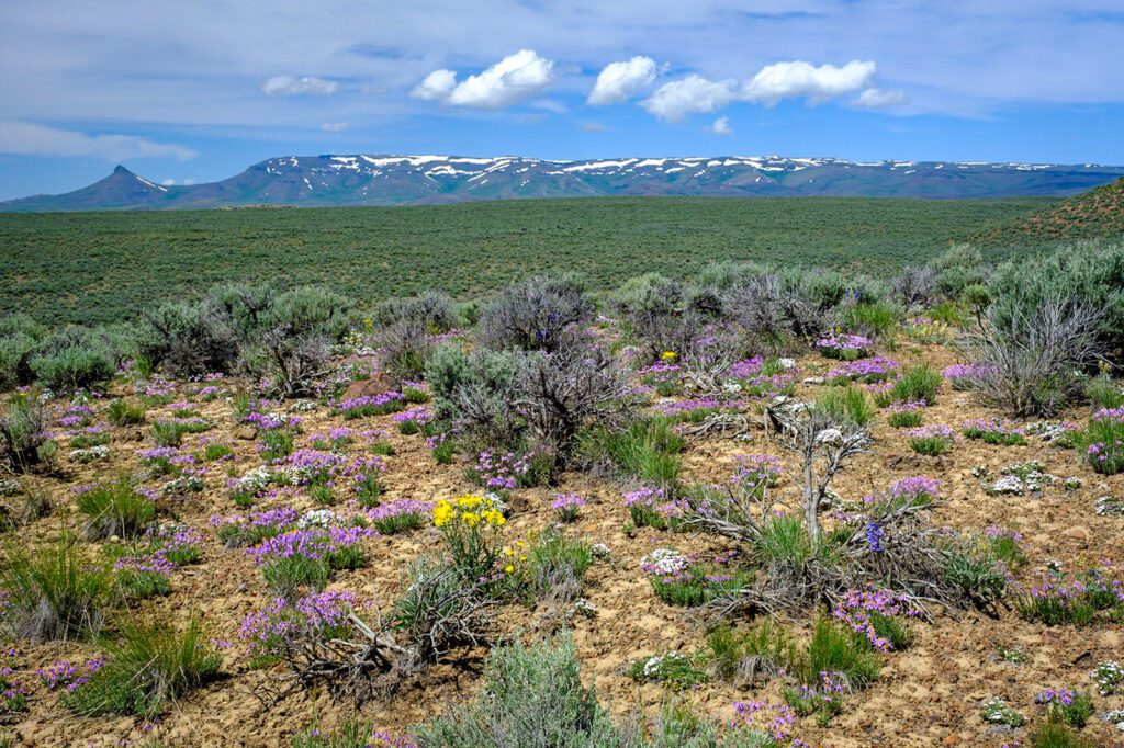Oregon's McDermitt Caldera