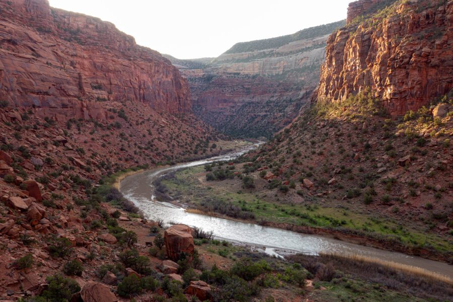 Conservation Colorado Education Fund