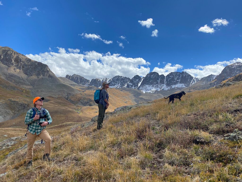 The Wilderness Land Trust