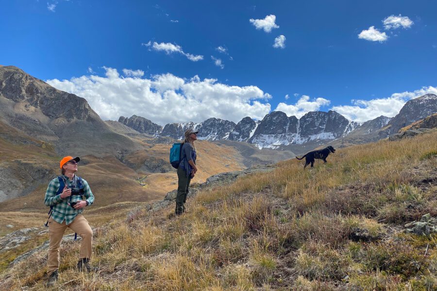 The Wilderness Land Trust