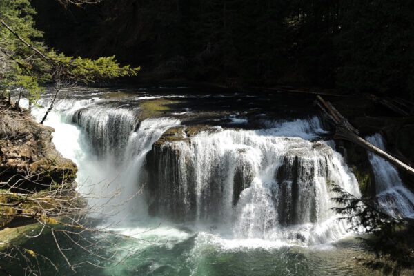 Washington Wild