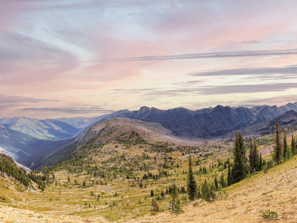 Wild Montana